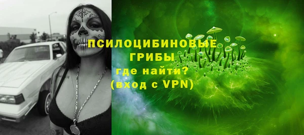 молекула духа Арсеньев