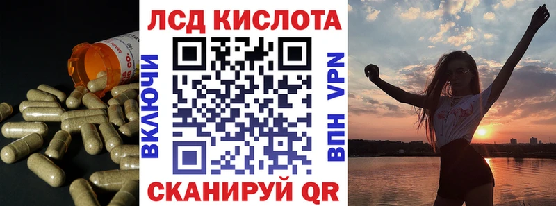 даркнет Telegram закладка Новодвинск ЛСД экстази кислота